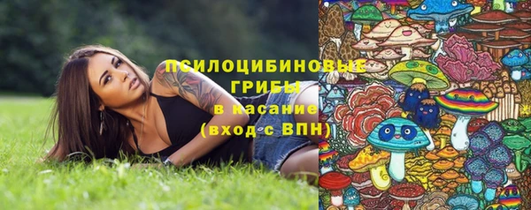 а пвп мука Киреевск