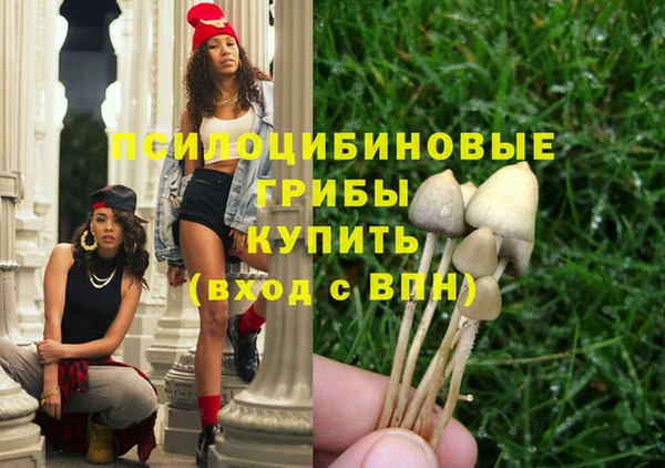 кристаллы Козловка